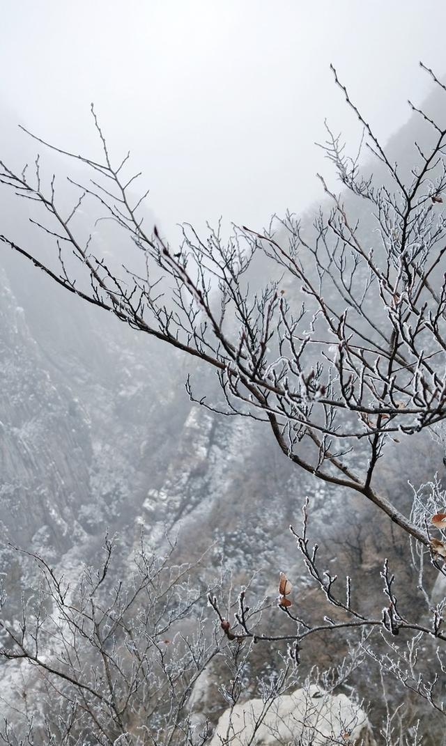 三皇寨-嵩山少林寺