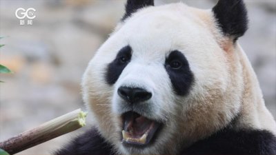 ​终身禁入！4名游客被通报！