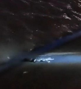 ​上海徐汇滨江滩涂上趴着一条鳄鱼？两年前也曾出现过