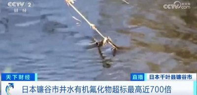 ​超标近700倍！日本民众震惊：不敢喝水了！日本政府回应