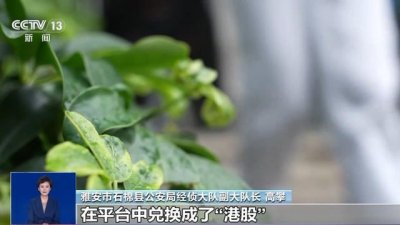 ​线上“认养黑猪”就能赚钱？小心，这是新型网络传销