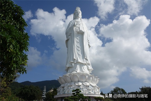 越南山茶半岛距岘港13公里，有山有海有寺庙，还有一尊超大观音像
