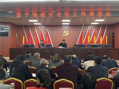 ​新野县歪子镇：打开扶贫一把伞，撑起古镇一片天