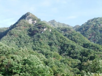 ​木札岭——《老家河南》