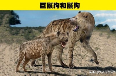 ​动物冷知识：7个灭绝动物与其现代近亲的直观比较