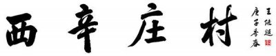 ​百村百家行丨西辛庄村：为民谋福 面貌一新