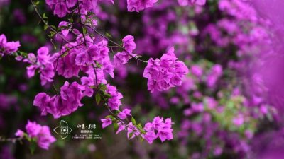 ​往后余生，我们各自安好，一别两宽，不再打扰