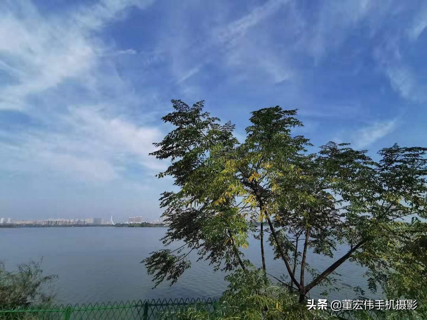 风景优美，水天一色，休闲散步好去处，武汉金银湖公园