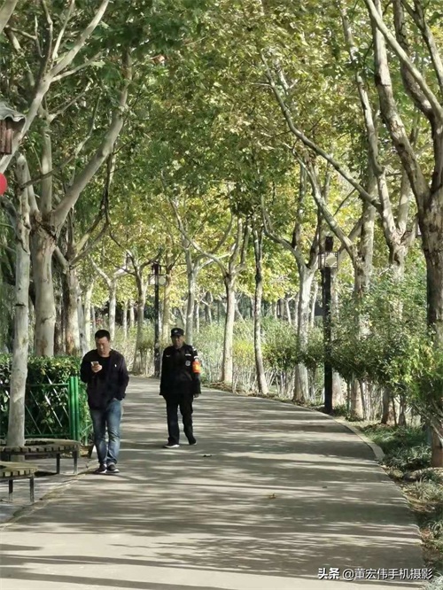 风景优美，水天一色，休闲散步好去处，武汉金银湖公园