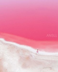 ​位于西澳大利亚神奇的粉红泻湖，美丽得让人感觉不真实