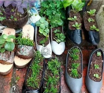 ​笑料百出：趣味新闻图片让你的心情阳光灿烂