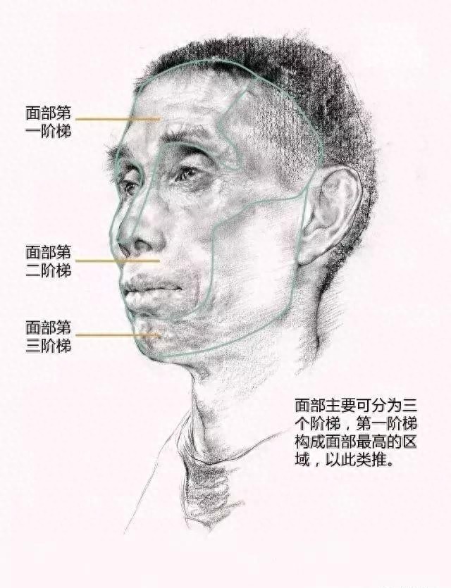 素描头像之线性素描，基础知识，及观察方法总结