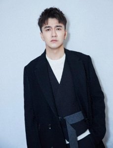 ​辛芷蕾与翟天临情感纠葛事件：独立女性的逆袭与娱乐圈的道德审视