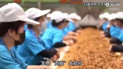​中国烟草究竟有多赚钱？一年缴税1.44万亿，军费“贡献”大部分