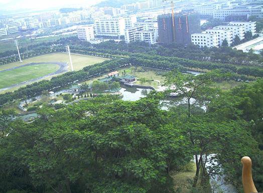 4.虎门马岭山森林公园