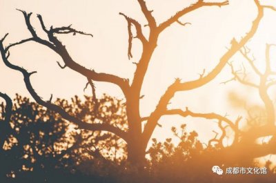 ​「非洲鼓分享会」JAMBO！发现非洲鼓——献给自然的声音