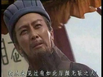 ​从诸葛亮骂死王朗深刻认识“话要说到点子上”的重要性