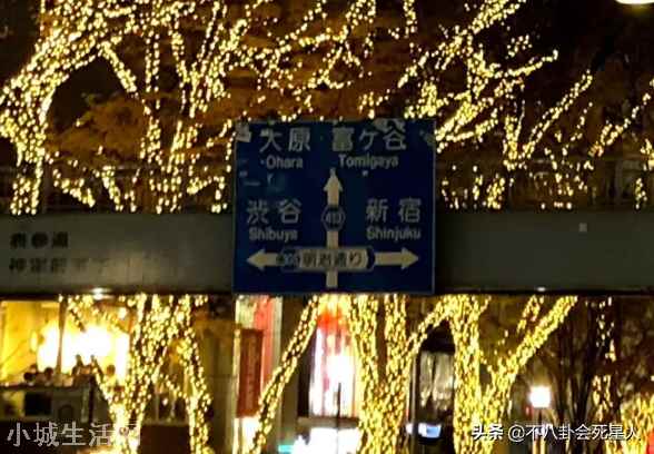 晒日本旅游照给祖国庆生(张哲瀚被扒国庆节在日本发文)-图11