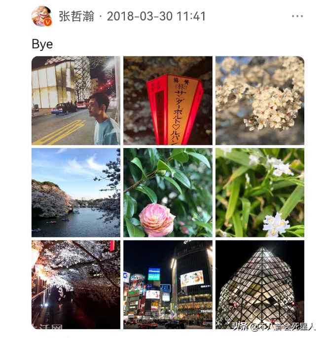 晒日本旅游照给祖国庆生(张哲瀚被扒国庆节在日本发文)-图2