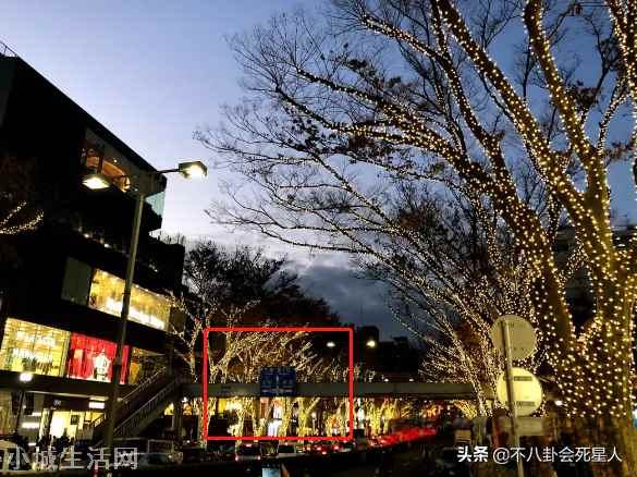 晒日本旅游照给祖国庆生(张哲瀚被扒国庆节在日本发文)-图10