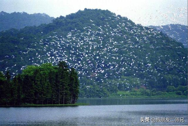 佛山鹭湖森林度假区两天攻略（佛山高明美的鹭湖探索王国）(17)