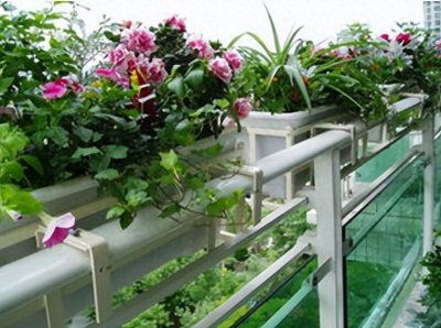 ​为了养花买了顶楼房子，结果后悔不已，想卖房都没人要