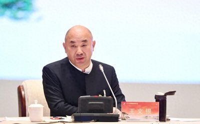 ​财富游戏：正威集团王文银骗局大揭秘！