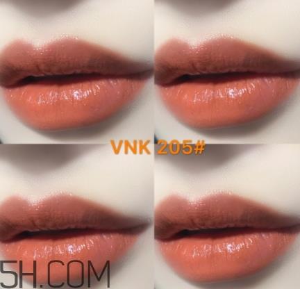 vnk口红南瓜色色号试色 vnk口红南瓜色色号试色