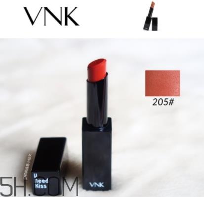 vnk口红南瓜色色号试色 vnk口红南瓜色色号试色