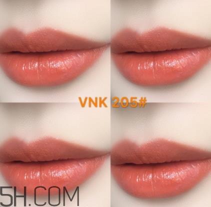 vnk口红南瓜色色号试色 vnk口红南瓜色色号试色