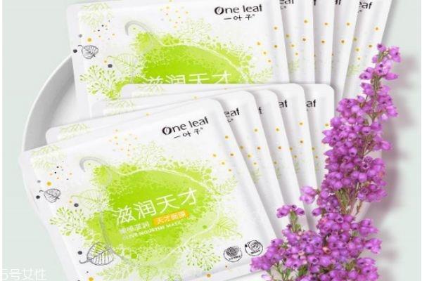 一叶子补水面膜可以天天敷吗 一叶子补水面膜价格
