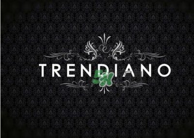 ​trendiano怎么读_trendiano中文叫什么_trendiano是什么牌子
