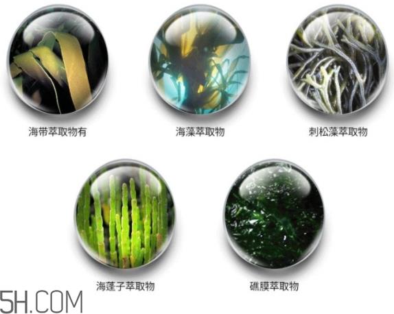 jmsolution珍珠面膜怎么用？jm珍珠珍珠面膜分为三部曲