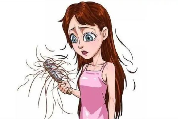 掉发有白色颗粒是什么 掉发有白色毛囊还会在长吗 掉发有白色颗粒是什么 掉发有白色毛囊还会在长吗