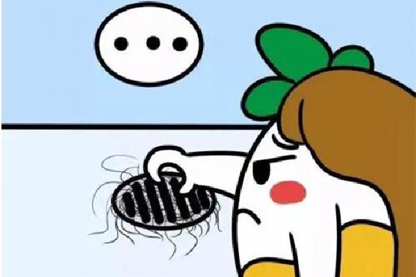 掉发有白色颗粒是什么 掉发有白色毛囊还会在长吗 掉发有白色颗粒是什么 掉发有白色毛囊还会在长吗