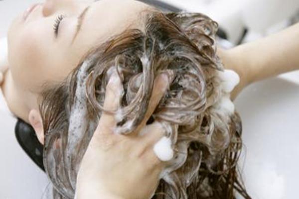 洗头几天洗一次 洗头什么时候洗最好 洗头几天洗一次 洗头什么时候洗最好