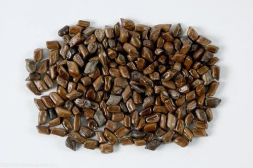 蒲公英最佳搭配散结节(蒲公英最佳搭配有哪些)-第2张图片-