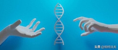 ​为什么女孩子身上也有腿毛?