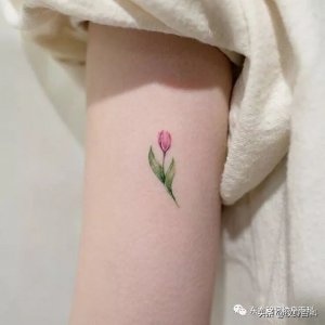 ​小清新风格纹身