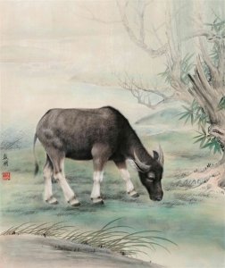 ​陈启明工笔动物画欣赏