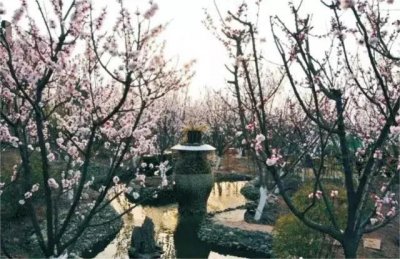 ​成都红色胜景概览——田园之星杏花村