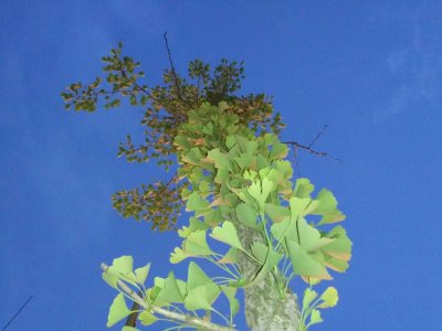 ​立鸿鹄志   做奋斗者——“纪念五四运动100周年大会”观后感