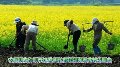 ​12月开始农村土地新政策将要有6大补贴，你都知道吗