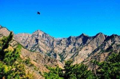 ​100个宁夏值得去景点列表，肯定没办法都去，根据偏好选择吧