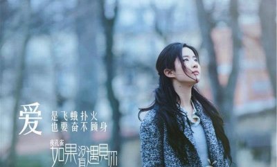 ​夜孔雀——刻在背上的爱情