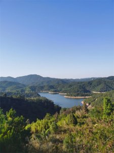 ​聊聊国家概念