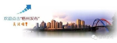 ​短短几年间，一个氤氲着茶香、展露着新颜的“苍梧”，正要开始“显山露水”