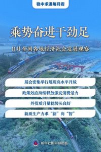 ​乘势奋进干劲足——11月全国各地经济社会发展观察